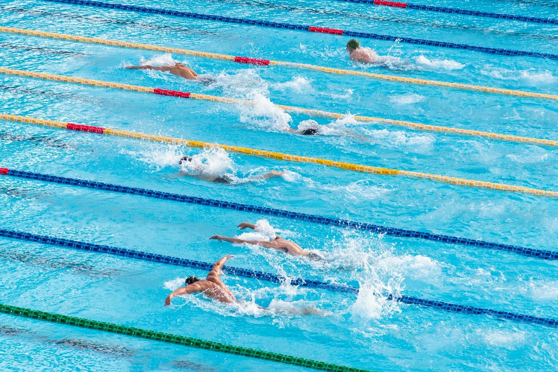 Swimmers In The Pool